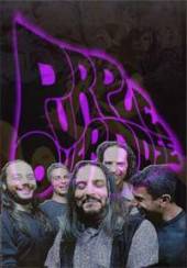 logo Purple Overdose